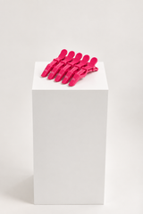 bB Hair Clips